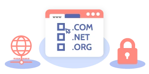 >Domain Name Lock
